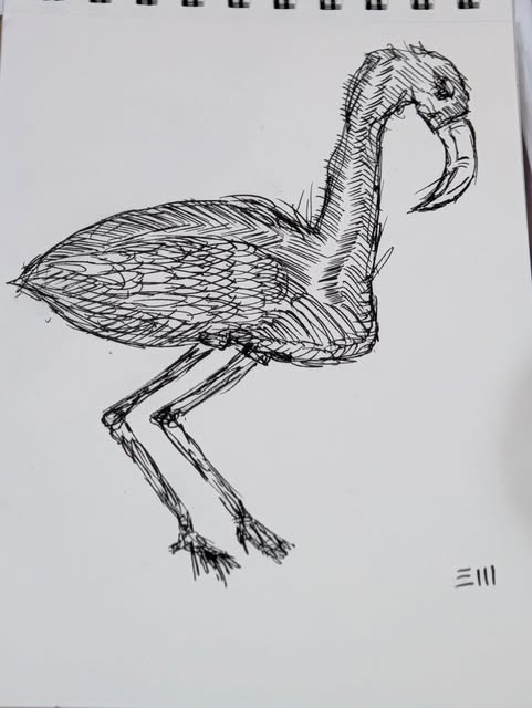 Flamingo Sketch